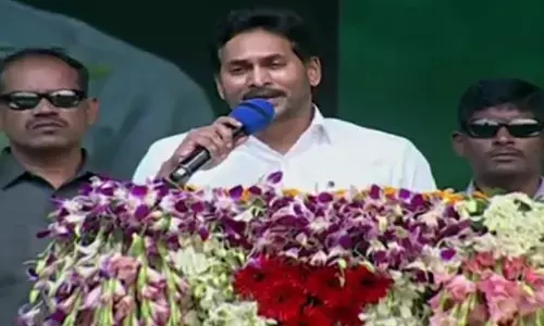 ys jagan, chief minister, kurnool,  nandyal