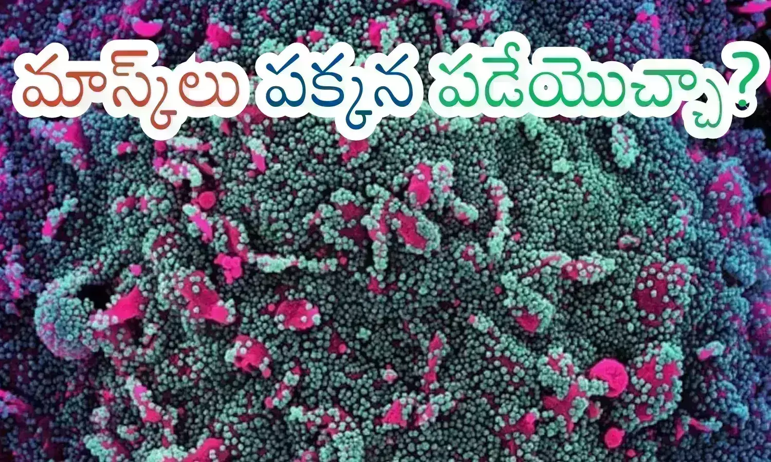 Corona Virus : కరోనా పోయినట్లేనా.. నెలన్నర ఊపి మళ్లీ కనిపించకుండా పోయిందే?