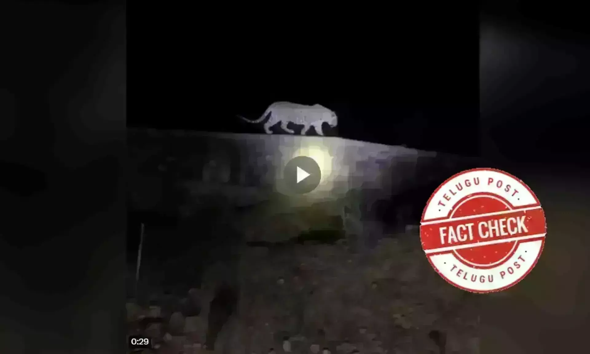 Leopard, wildlife, Bengaluru University, Bhubaneswar, odisha, ViralVideo