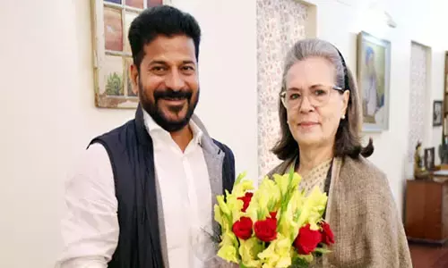 Revanth Reddy : సోనియాతో రేవంత్ భేటీ.. తెలంగాణలో పోటీ చేయాలంటూ?