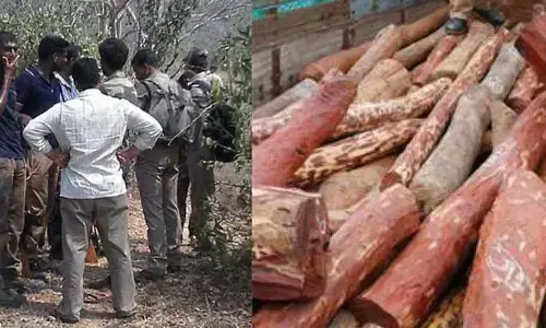 కానిస్టేబుల్ ను చంపేసిన ఎర్రచందనం స్మగ్లర్లు