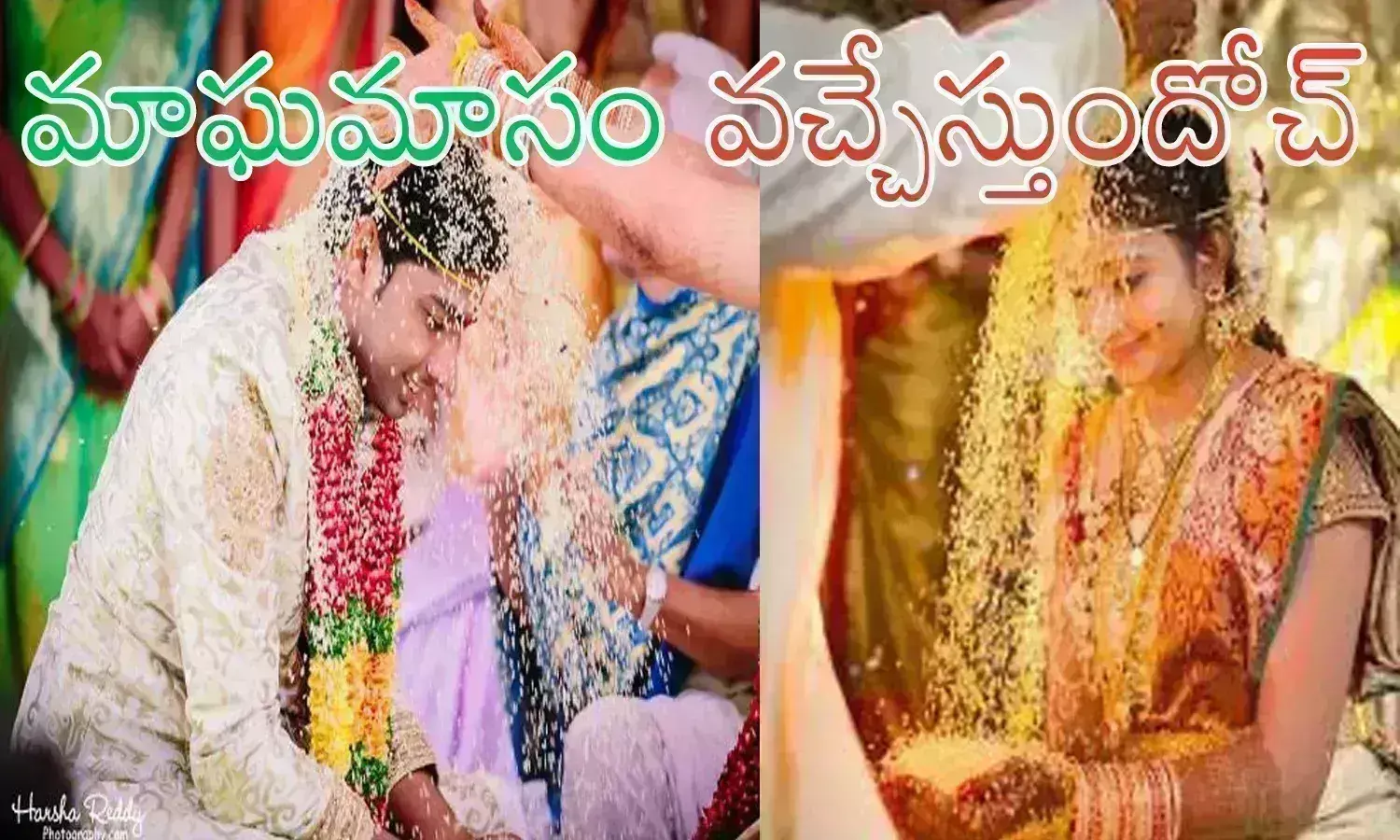 Wedding Season : మూడు నెలలు ఇక సన్నాయి మేళాల మోత.. పెళ్లిళ్లే పెళ్లిళ్లు...తలంబ్రాలు.. పెళ్లికాని ప్రసాద్‌లకు పండగే