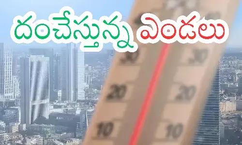 Summer : అల్లాడిస్తున్న ఎండలు..ఈ సమ్మర్ మాత్రం సీన్ సితారేనట