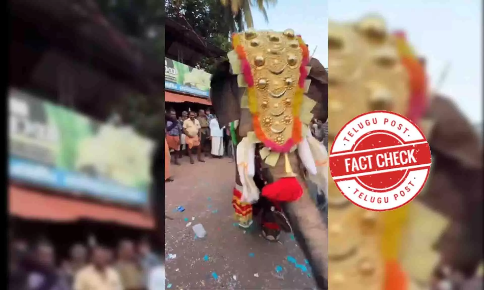 Fact Check: Viral video showing an elephant dancing to drumbeats is a hoax