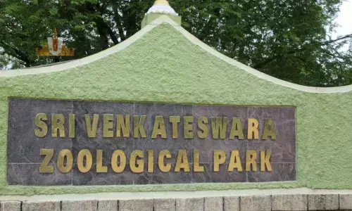 తిరుపతి జూ పార్కులో చిరుత మృతి