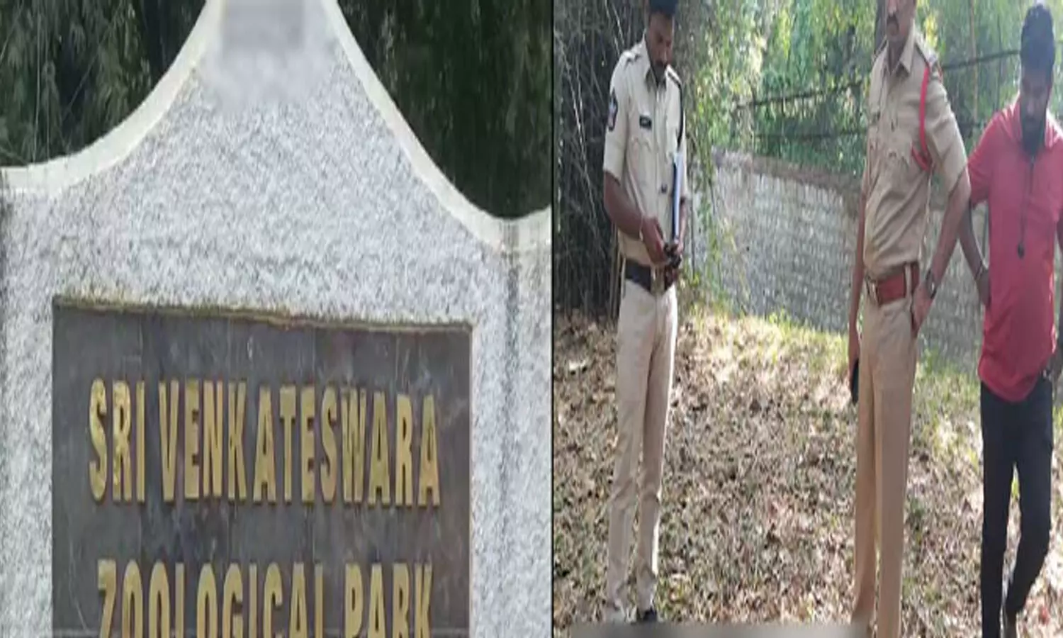 Tirupathi : లయన్ తో గేమ్స్ .. సెల్ఫీ దిగుదామని ప్రాణాలు వదిలేశాడు