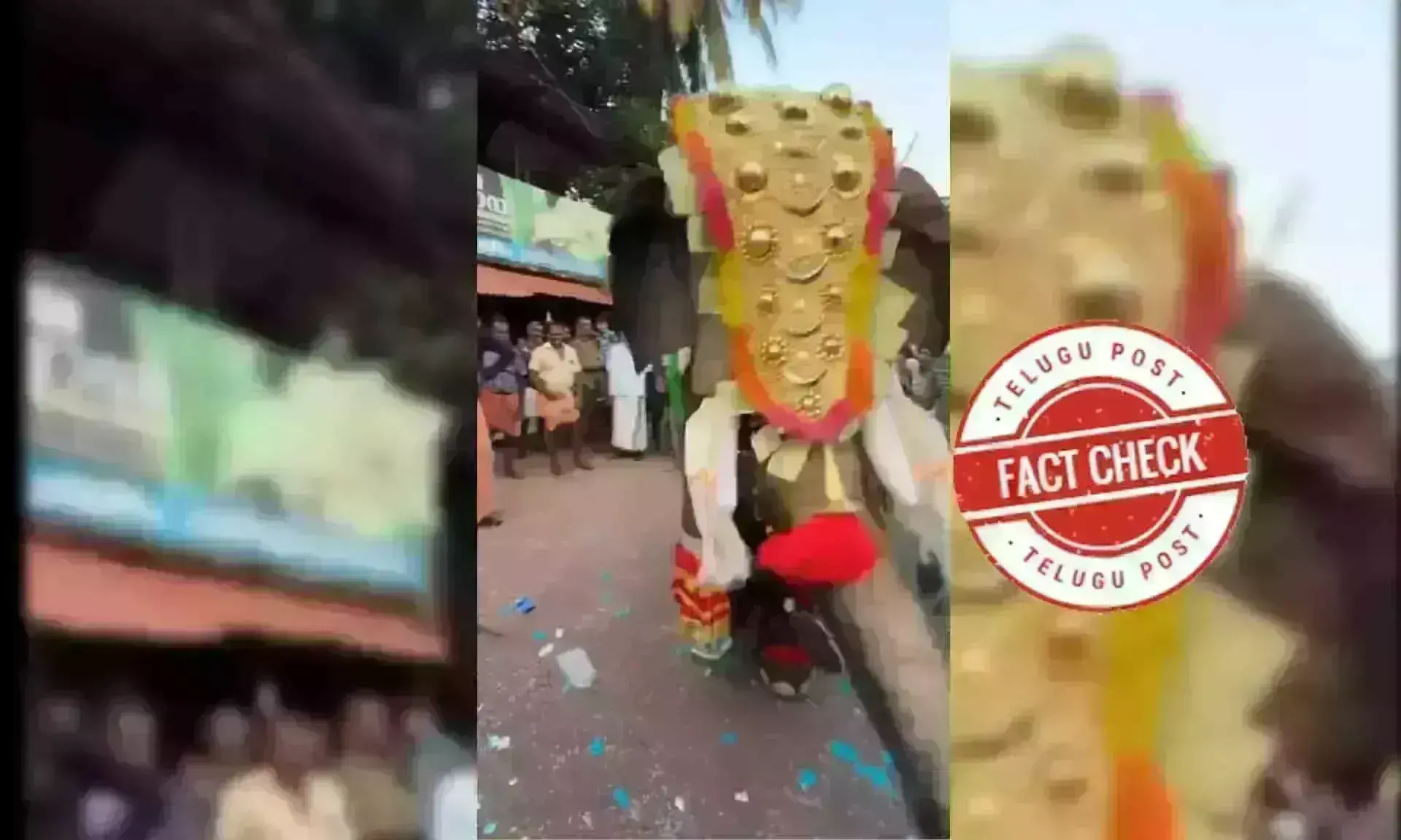 ఫ్యాక్ట్ చెక్: డ్రమ్స్ వాయిస్తూ ఉంటే ఏనుగు డ్యాన్స్ చేస్తోందంటూ వైరల్ అవుతున్న పోస్టుల్లో ఎలాంటి నిజం లేదు.