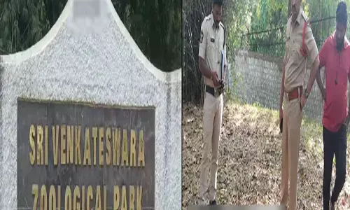 Tirupathi : లయన్ తో గేమ్స్ .. సెల్ఫీ దిగుదామని ప్రాణాలు వదిలేశాడు