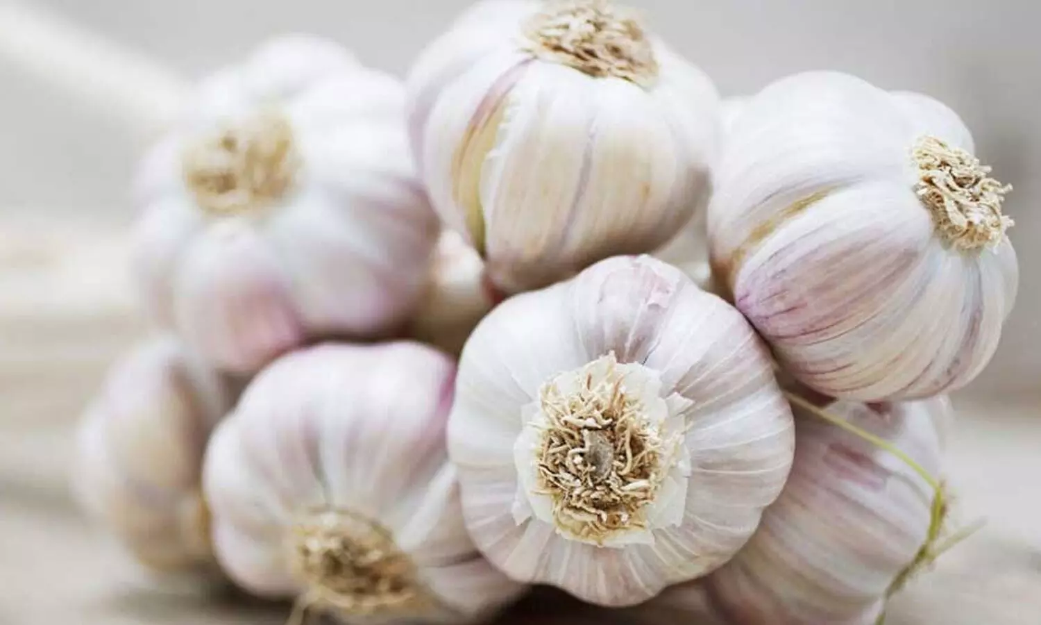 Garlic :  వెల్లుల్లిని కాపాడుకోవడం కోసం సీసీ కెమెరాలు