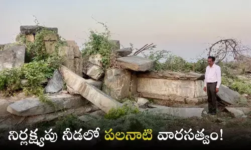 శిథిలావస్థలో నాయకురాలు నాగమ్మ దేవాలయం