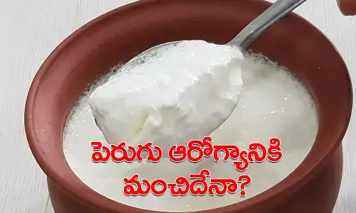 Curd Benefits