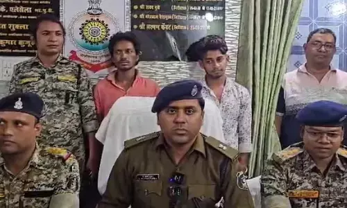 అమ్మమ్మ.. పాము కాటు.. కోటి రూపాయలు డబ్బులు.. ఇదీ అసలు స్టోరీ!!