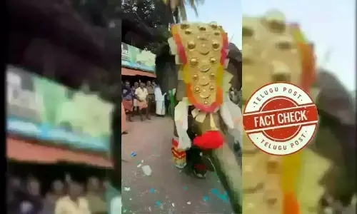 Viral Video, Social Media, Dancing Elephant, fact check, Kerala