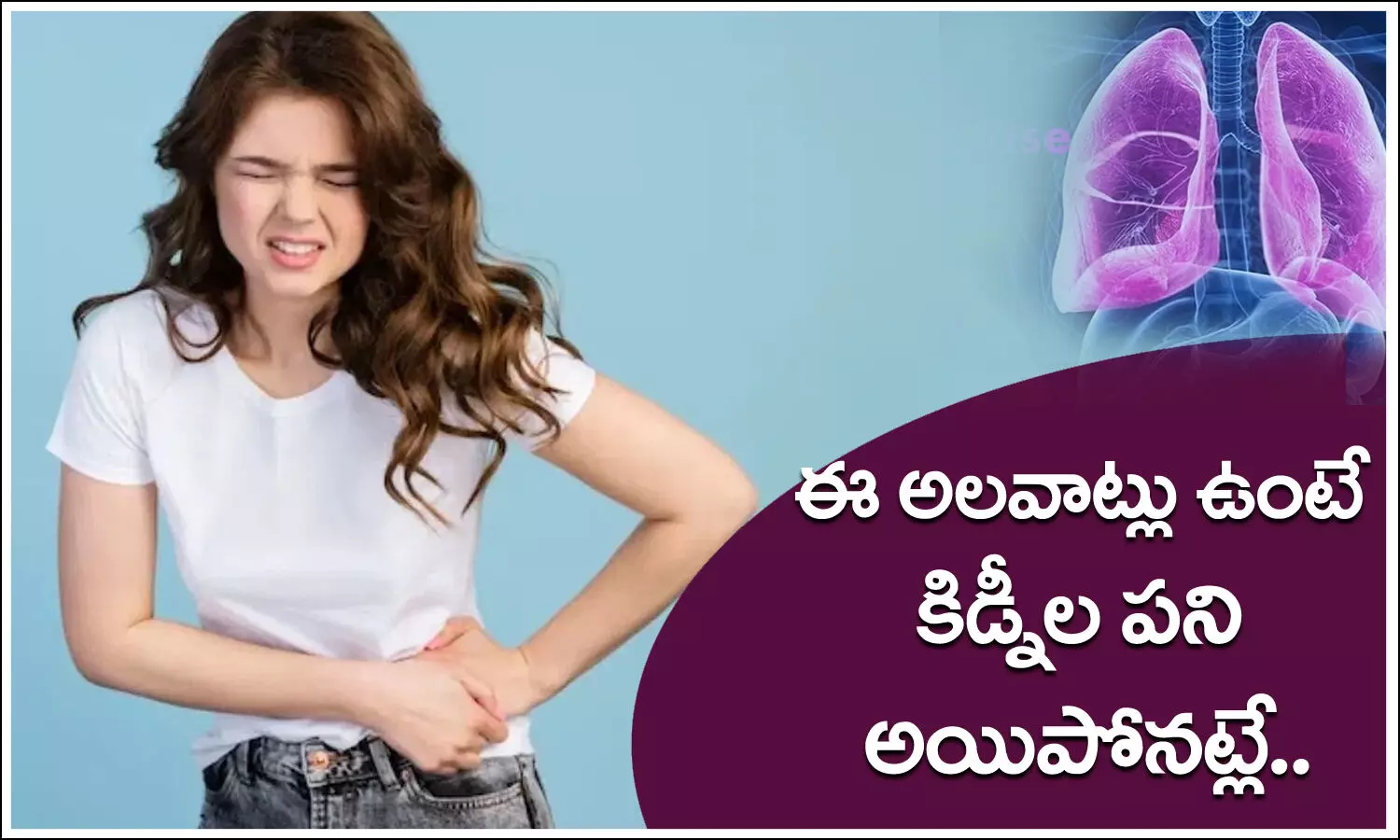 Kidneys Health Kidneys Health