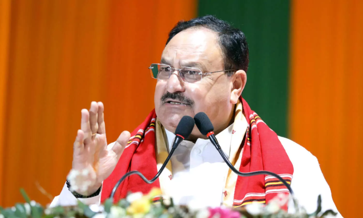 JP Nadda:రాజీనామా చేసిన జేపీ నడ్డా.. ఎందుకో తెలుసా?