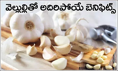 Garlic Benefits