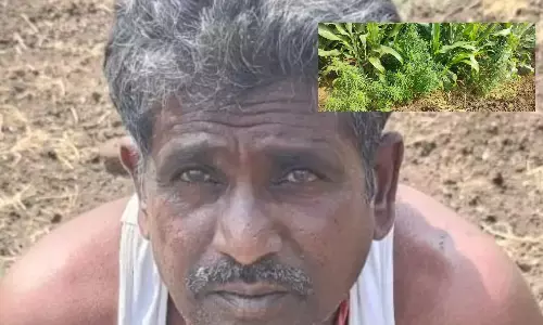 Shankerpalli, Farming, Ganja, arrested