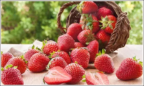 Strawberry, Strawberry Benefits, Diabetic, Patients, Strawberries