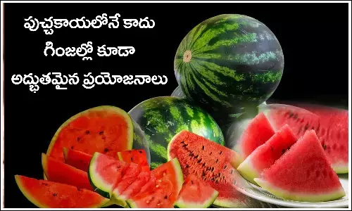 పుచ్చకాయ తిని గింజలు వదిలేస్తున్నారా? వీటి ప్రయోజనాలు ఏంటో తెలిస్తే ఆశ్చర్యపోతారు!