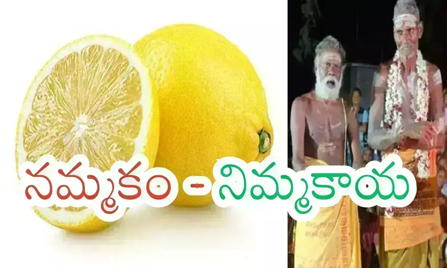 lemon, auction, thirty five thousand, tamil nadu