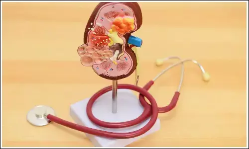 Kidney Healthy