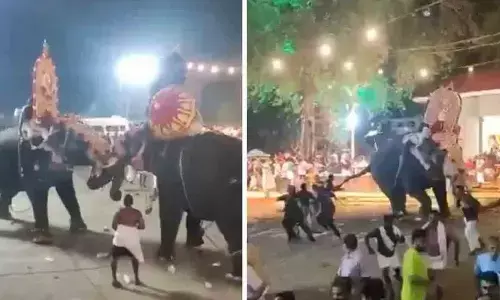 Elephant Fight In Kerala : ఏనుగుల మధ్య బిగ్ ఫైట్.. భయాందోళనలో పరుగులుతీసిన భక్తులు