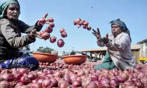 కేంద్రం కీలక నిర్ణయం.. ఎగుమతులపై నిషేధం