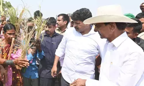 KCR : నేడు కేసీఆర్ మలివిడత పొలంబాట