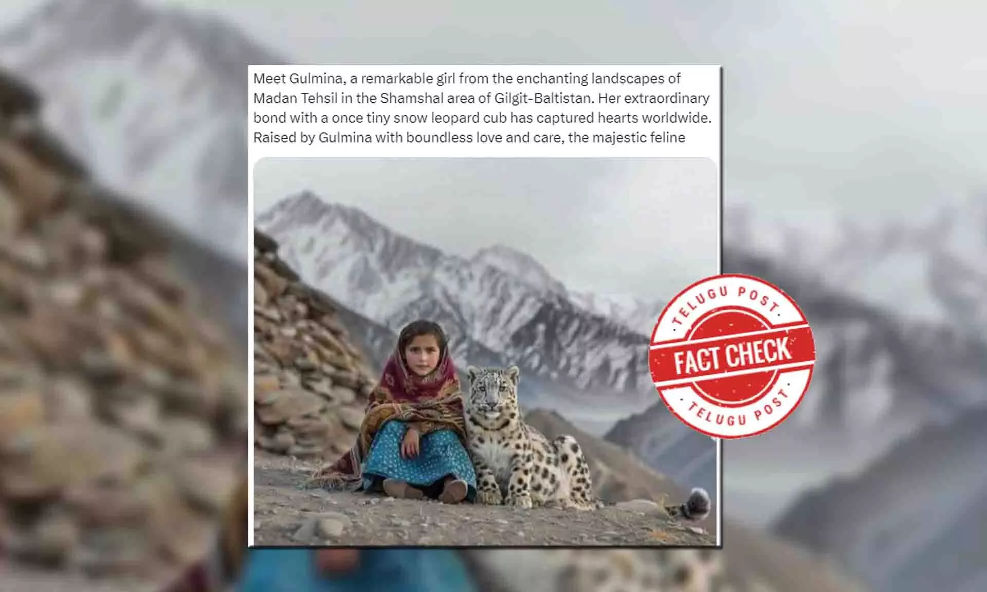 Fact Check: Viral image showing a little girl with a snow leopard is AI generated