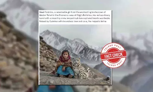 Fact Check: Viral image showing a little girl with a snow leopard is AI generated