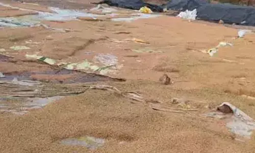 Telangana : అకాల వర్షం.. పంట నష్టం