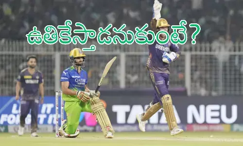 IPL 2024 : దినేష్ కార్తీక్ ను దుమ్మెత్తి పోస్తున్న బెంగళూరు అభిమానులు