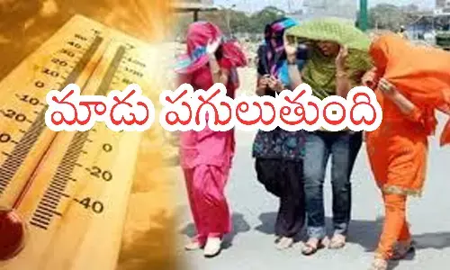 Temparatures : వడదెబ్బ.. మామూలుగా లేదుగా.. ఆసుపత్రులన్నీ కిటకిట