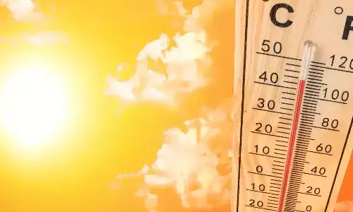 temperatures, telugu states, rohini, burning sun