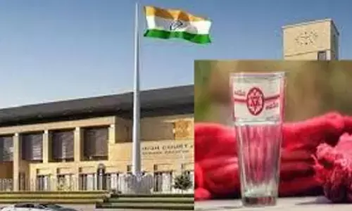 Janasena : హైకోర్టులో సింబల్ పై కొంత ఊరట... కొంత ఇబ్బంది