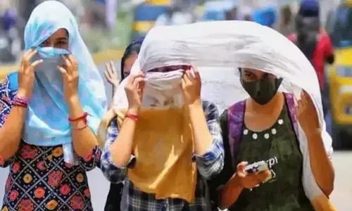 Andhra Pradesh : ఏపీలో దంచి కొడుతున్న ఎండలు.. వామ్మో ఇంత స్థాయిలోనా?