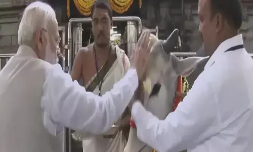 Modi : వేములవాడ ఆలయంలో మోదీ