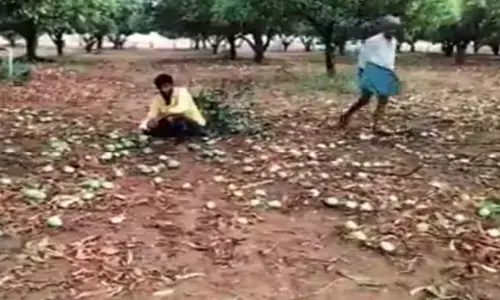 నిలువునా ముంచిన అకాల వర్షం