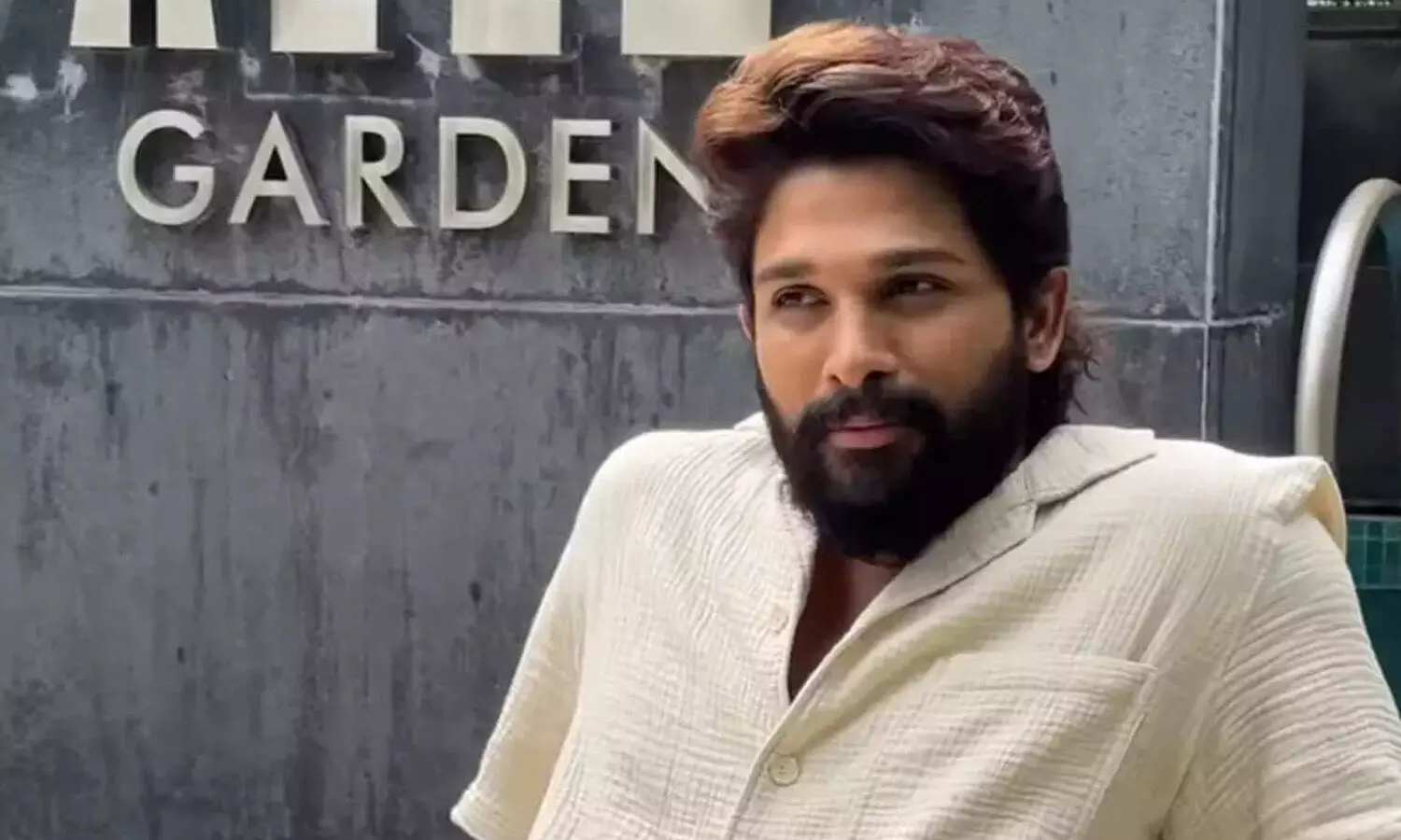 allu arjun,  relief, high court, andhra pradesh