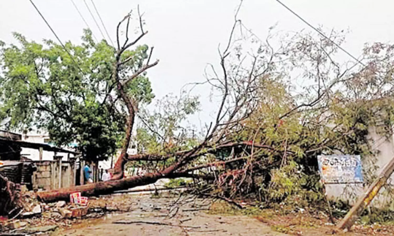 Telangana : గాలివాన బీభత్సం.. పోలింగ్ కు ప్రశాంత వాతావరణం Telangana : గాలివాన బీభత్సం.. పోలింగ్ కు ప్రశాంత వాతావరణం