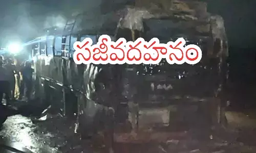 road accident, five people, bus fire, private travel bus, Todays accident news , andhrapradesh, ap, Private travels bus accident, palnadu accident news, Bus accident news