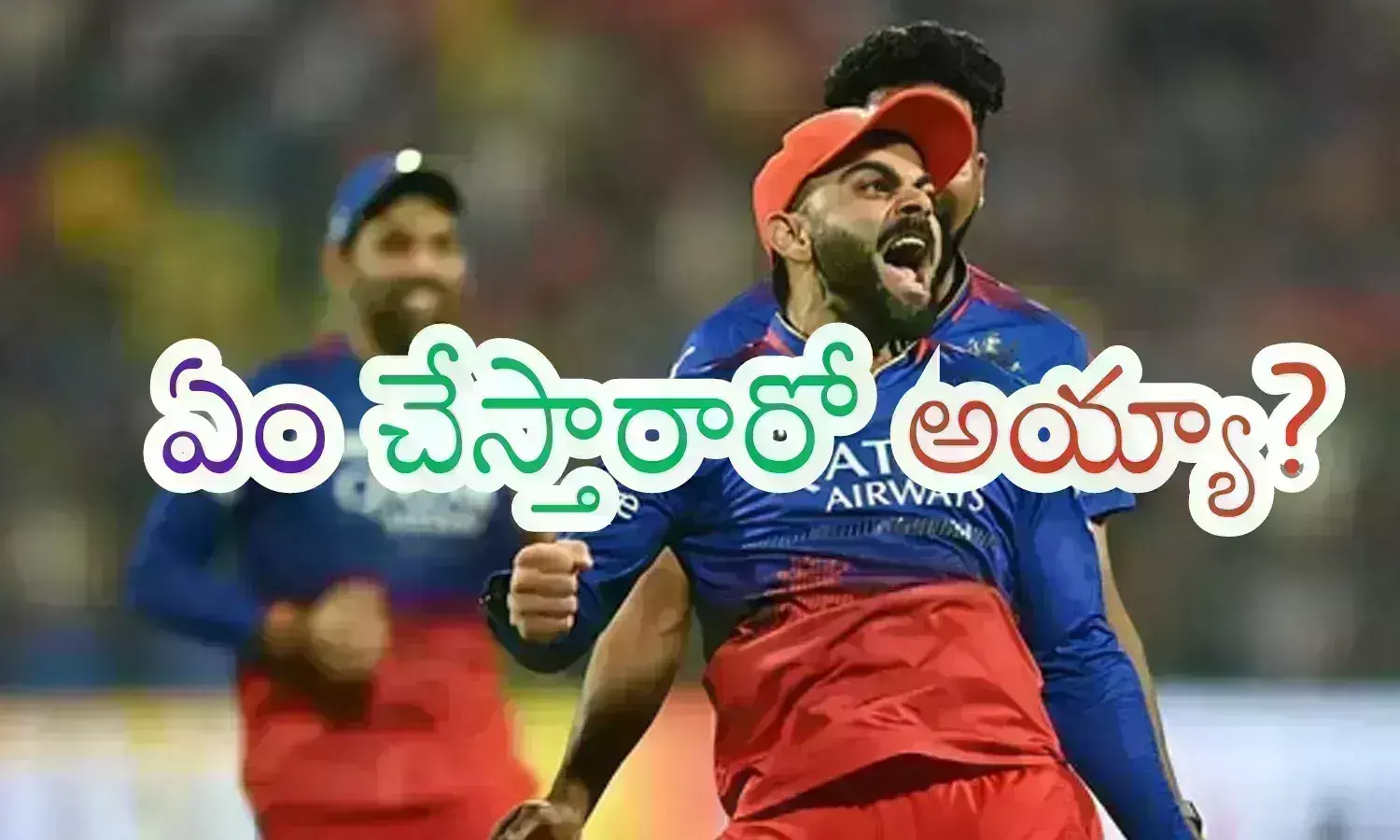 royal challengers bengaluru, rajasthan royals, IPL 2024, virat kohli