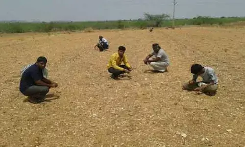 ఖరీదైన వజ్రం దొరికింది.. అయితే ఆ రైతు ఏం చేశాడంటే?