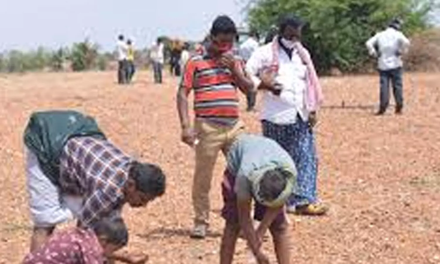 Kurnool : మరో రెండు వజ్రాలు లభ్యం.. వ్యాపారులు ఎంతకు కొన్నారంటే?