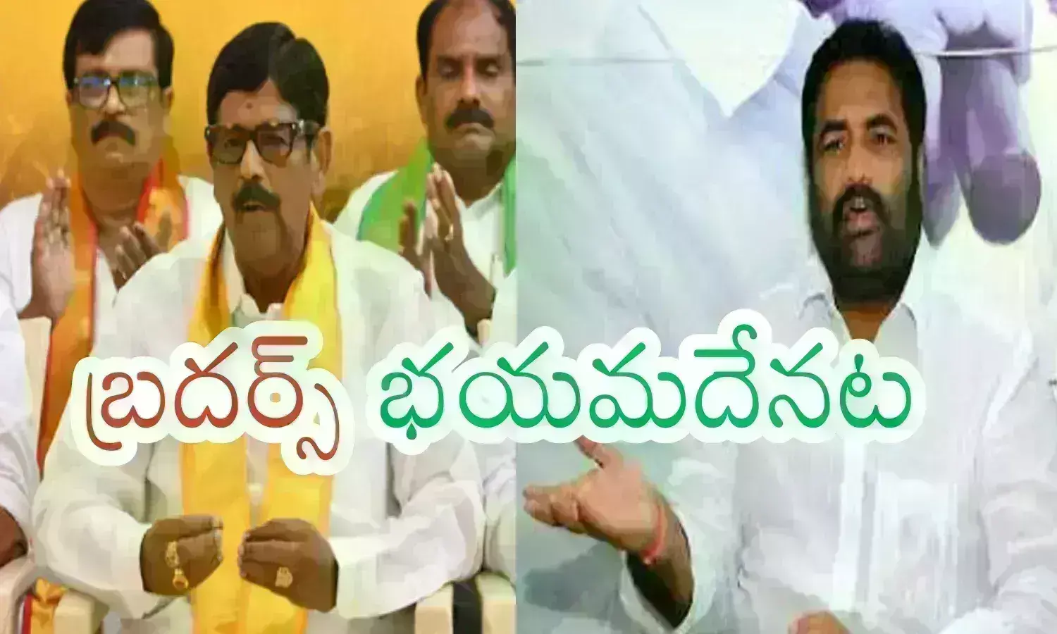 Ap Elections : నెల్లూరు రెడ్లకు అదే సమస్యా... అలా జరగకుండా ఉంటే గెలుపు ఖచ్చితంగా దక్కదేనటగా?
