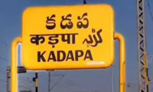 election,  chairman, ycp, kadapa zilla parishad