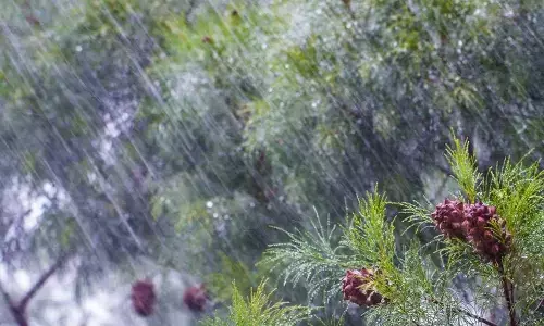 meteorological department, monsoon,  kerala,  today, Weather Forecast,