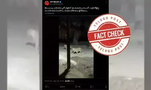 Roaming Lion, Telangana, Nagarkurnool district, Thudukurthi