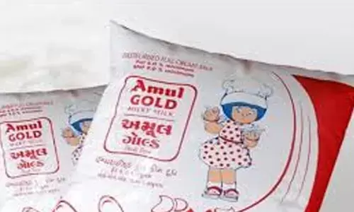 బ్యాడ్ న్యూస్ .. భారీగా పెరిగిన అమూల్ పాల ధరలు