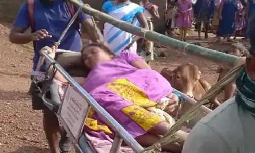 Andhra Pradesh: డోలీలో నిండు గర్భిణి.. ఆసుపత్రికి తీసుకెళ్లిన కుటుంబ సభ్యులు